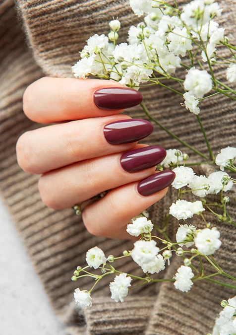 Orchid Nail Lounge
